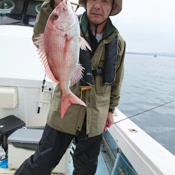 リトルワン 釣果