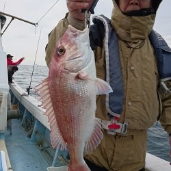 リトルワン 釣果