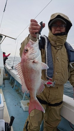 リトルワン 釣果