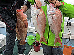 遊漁船 未紗奈 釣果