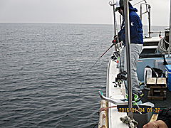 遊漁船 未紗奈 釣果