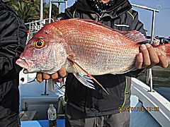 遊漁船 未紗奈 釣果