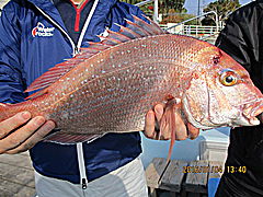 遊漁船 未紗奈 釣果