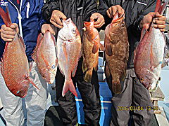 遊漁船 未紗奈 釣果