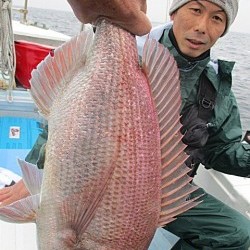 遊漁船 未紗奈 釣果