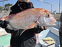 遊漁船 未紗奈 釣果