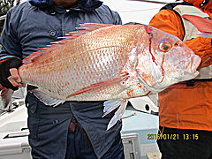 遊漁船 未紗奈 釣果