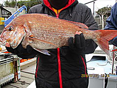 遊漁船 未紗奈 釣果