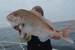 ジギング船 BLUEWATER 釣果