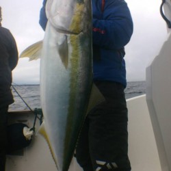 麦崎沖釣果報告