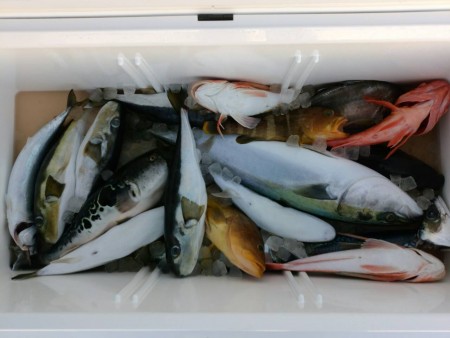 田曽沖釣果報告(マイボート釣行)