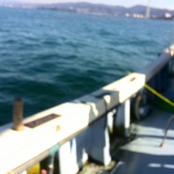 2016初釣りは惨敗…。