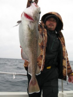 Aquanaut(アクアノート) 釣果