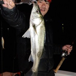 Marine T Design　マリンティーデザイン 釣果