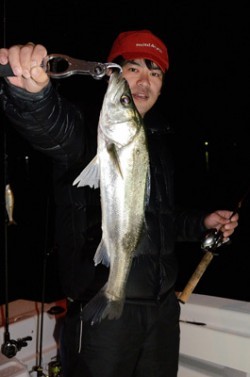 Marine T Design　マリンティーデザイン 釣果