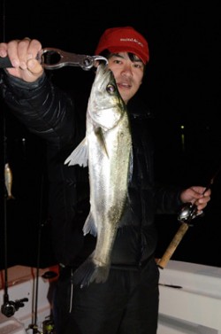 Marine T Design　マリンティ…