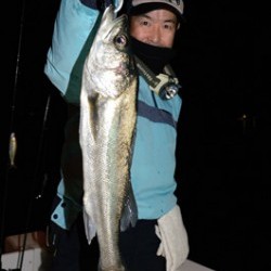 Marine T Design　マリンティーデザイン 釣果