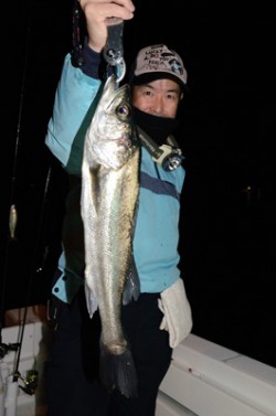 Marine T Design　マリンティーデザイン 釣果