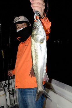 Marine T Design　マリンティーデザイン 釣果