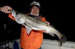 Marine T Design　マリンティーデザイン 釣果