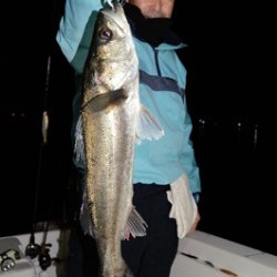 Marine T Design　マリンティーデザイン 釣果