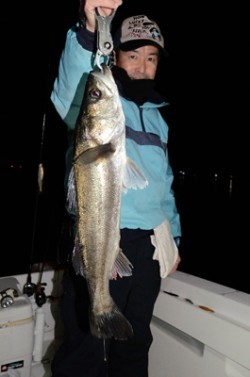 Marine T Design　マリンティーデザイン 釣果