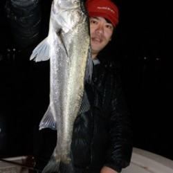 Marine T Design　マリンティーデザイン 釣果