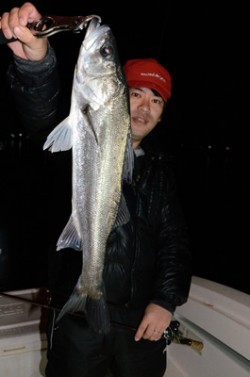 Marine T Design　マリンティーデザイン 釣果