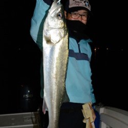 Marine T Design　マリンティーデザイン 釣果