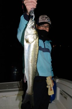 Marine T Design　マリンティ…