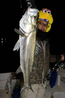 Marine T Design　マリンティ…