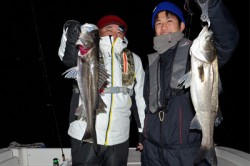 Marine T Design　マリンティ…