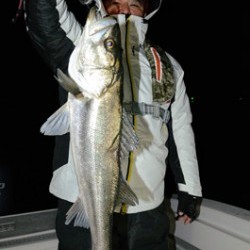 Marine T Design　マリンティーデザイン 釣果