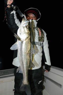 Marine T Design　マリンティーデザイン 釣果