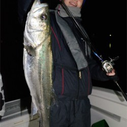 Marine T Design　マリンティーデザイン 釣果