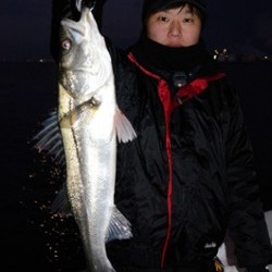 Marine T Design　マリンティーデザイン 釣果