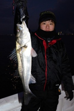 Marine T Design　マリンティーデザイン 釣果