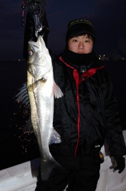 Marine T Design　マリンティ…