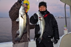 Marine T Design　マリンティーデザイン 釣果