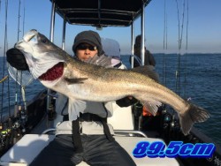 オーシャンマスター 釣果