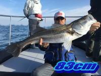 オーシャンマスター 釣果