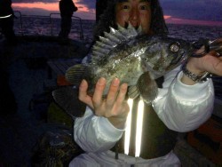 MATSUSHIMA SEANET 釣果