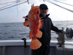 芳美丸 釣果