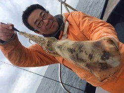 ゲームフィッシング バレントン 釣果