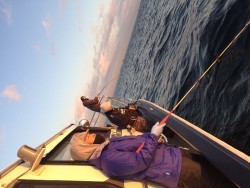 ゲームフィッシング バレントン 釣果