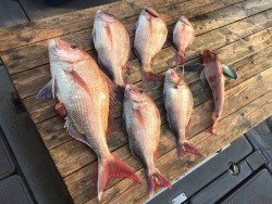 ゲームフィッシング バレントン 釣果