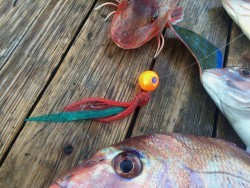 ゲームフィッシング バレントン 釣果