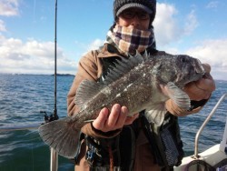 MATSUSHIMA SEANET 釣果