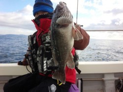 MATSUSHIMA SEANET 釣果