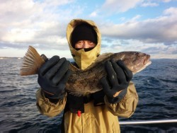 MATSUSHIMA SEANET 釣果